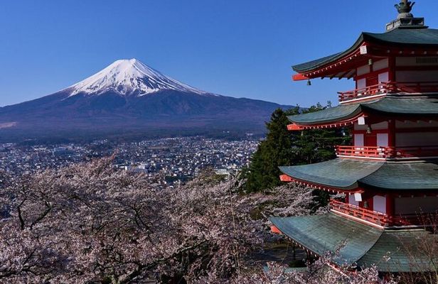 Private tour to Mount Fuji with an English driver from Tokyo