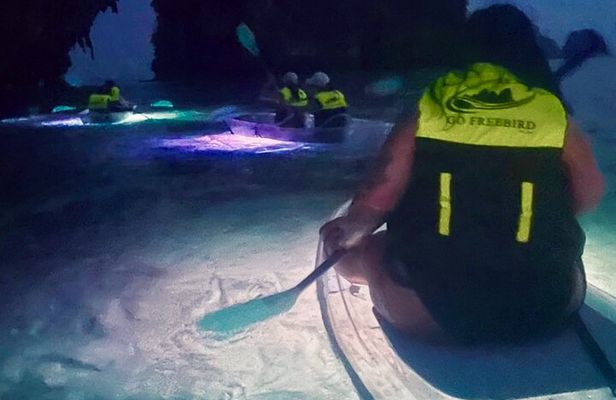 Krabi Stand-Up Paddleboard Illuminated Night Tour