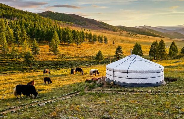 Nomadic Family Experience Day