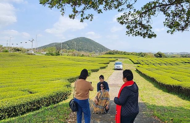 Jeju island Southern UNESCO Day Tour With Hallasan MT