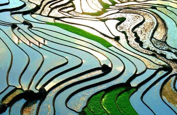Private Full Day Tour in Sapa by Car