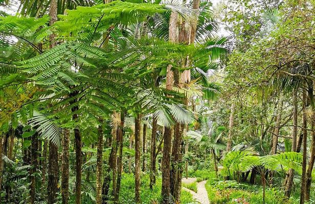 Puerto Plata City Tour with the Mount Isabel, Rum & Chocolate