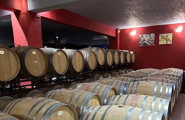 Private Full Day Tour to Nemea Wineries from Attica