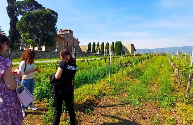 Lake Iseo & Franciacorta Winery. Scenic & Wine Tasting tour