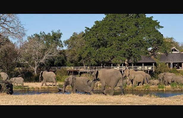 Kruger National Park 3 Day Full Board Safari From Johannesburg