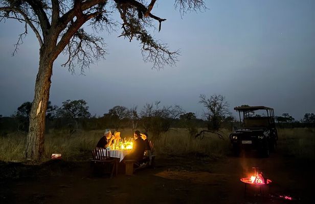 Safari Game Drive and Dinner in the Bush near Hoedspruit