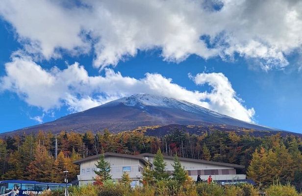 Mt. FUji and Cherry Blossom Day Trip with English Speaking Driver