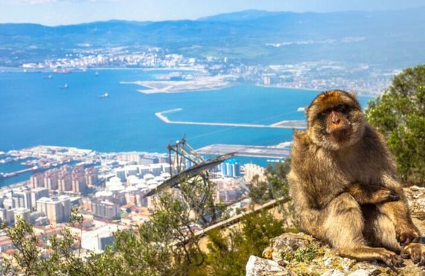 Gibraltar Private Tour