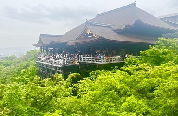 Kyoto Private Tour: 1350 Years of History, Hotspots & Hidden Gems