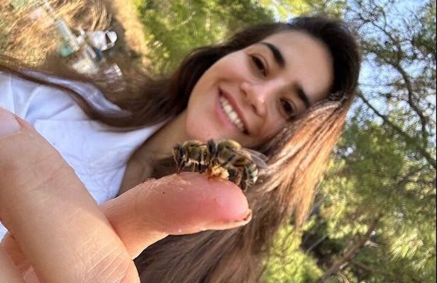 Beekeeping experience " Areti Honey "