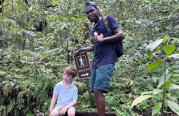 Volcano Hike To Mt. Liamuiga (Highest Peak On Island)