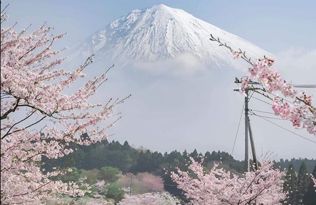 Mt Fuji Private Tour with English speaking driver