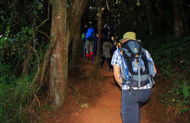 8 Days Mountain Kilimanjaro Lemosho Route