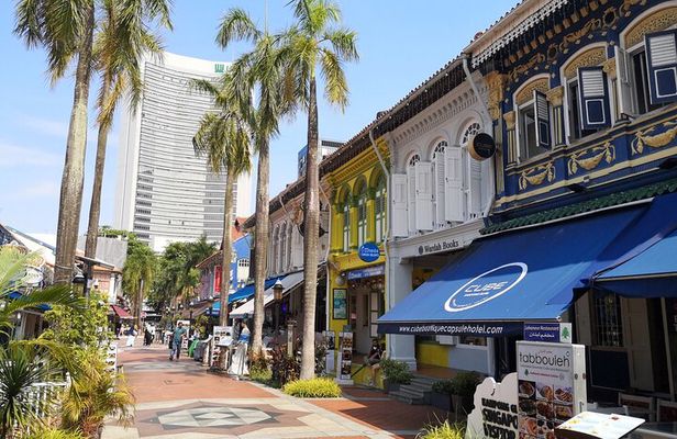 Private Cultural Heritage Walking Tour of Bedok