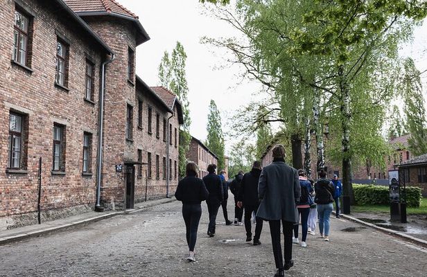 Auschwitz-Birkenau: Day Trip & Transfer from Kraków