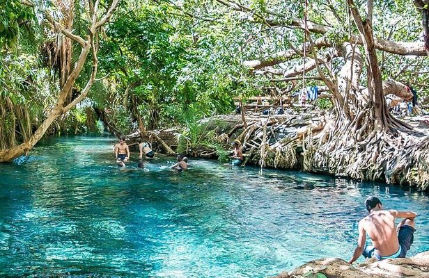 Materuni Waterfall, Coffee Farm Tour, and Kikuletwa Hot Spring