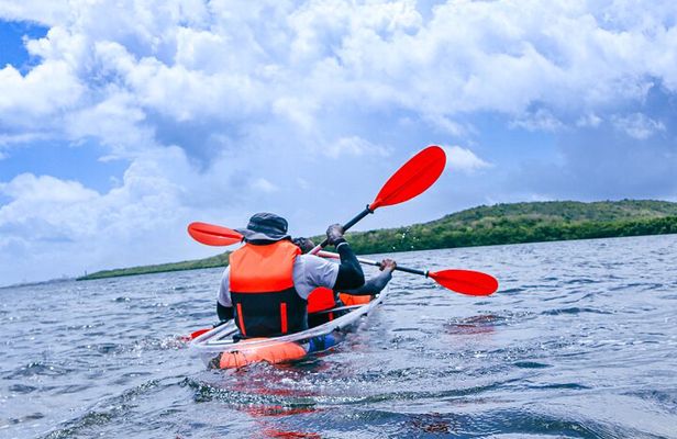 Clear Kayak Tour in Mangrove Antigua
