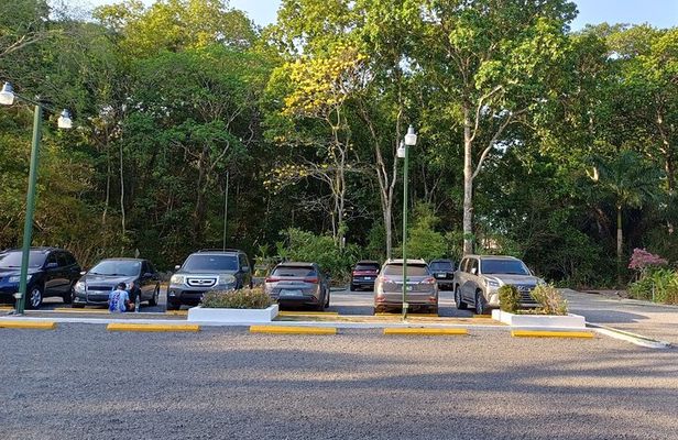 Walking Tour Metropolitan Park Panama City