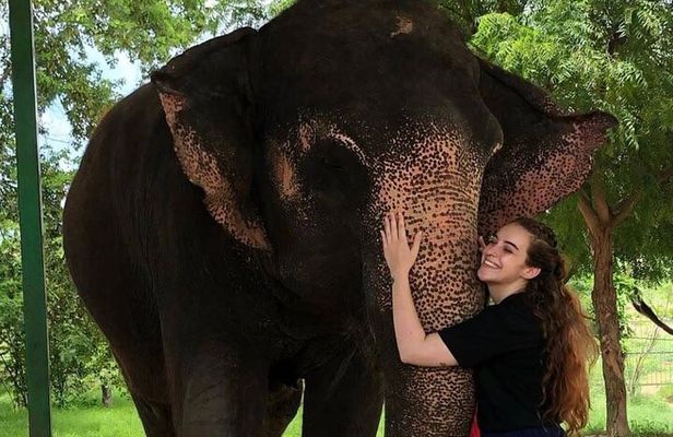Private Elephant Sanctuary