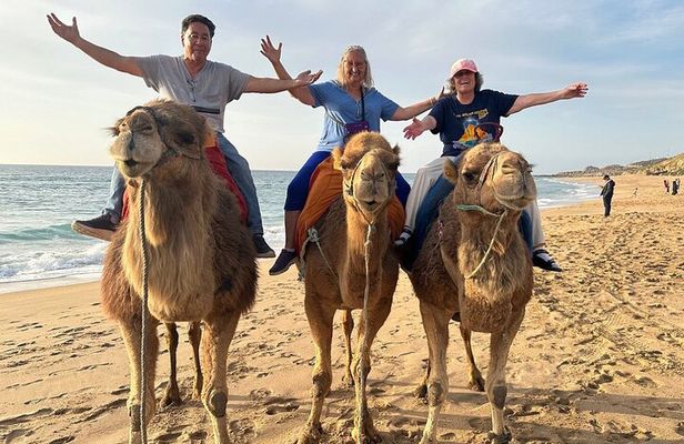 Full Day Private Tour of Tangier