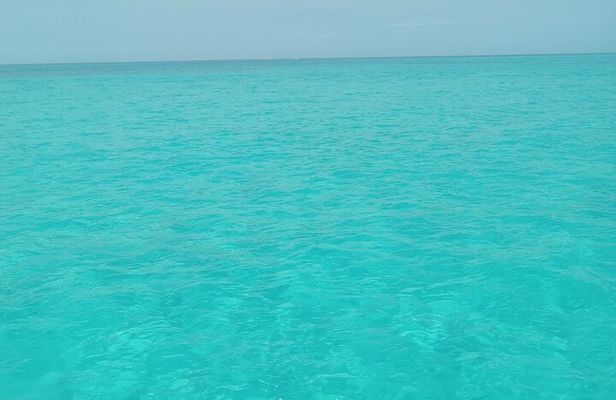 Private speed boat beach and bar hopping visiting Rose island