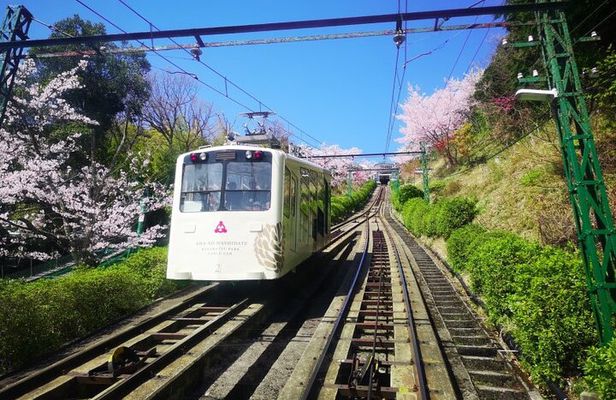 Amanohashidate & Miyama 1-Day Bus Tour: From Osaka/Kyoto w/ Lunch