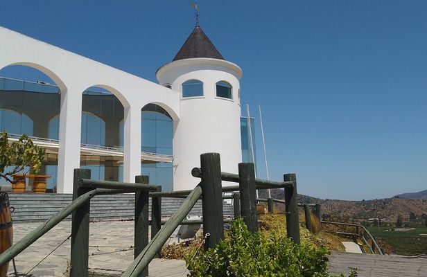 Wineries Tour in Casablanca Valley from Valparaiso