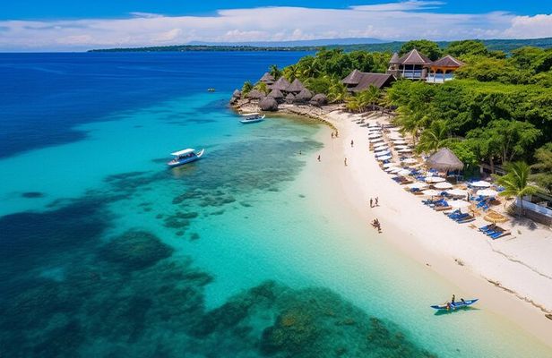 Cebu Whaleshark Watching w/ Sumilon Island Hopping