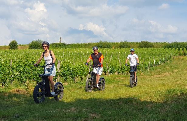 Off-road scooter tour tasting 2 wines in La Louvière