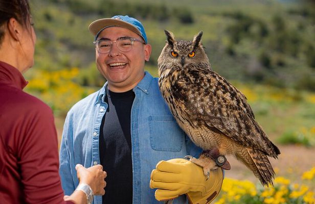 Experience Raptors and Falconry in Reno