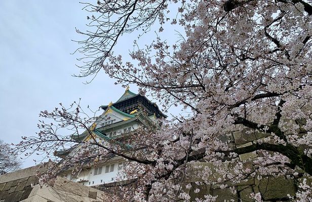Osaka Highlights: 4Hrs Guided Walking Tour with a Native Expert