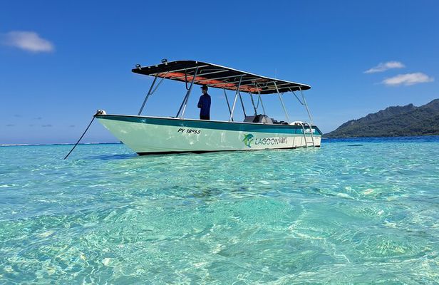 Private Marine Excursion and snorkeling in the lagoon of Moorea