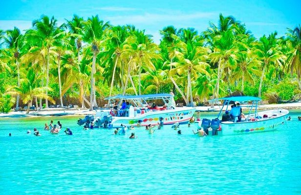 Day Trip to Saona Island with Lunch and Open Bar