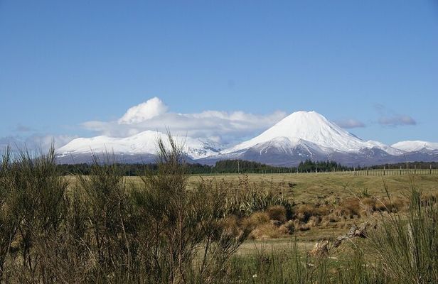 Tongariro National Park Northern Explorer Train and Snowshoeing