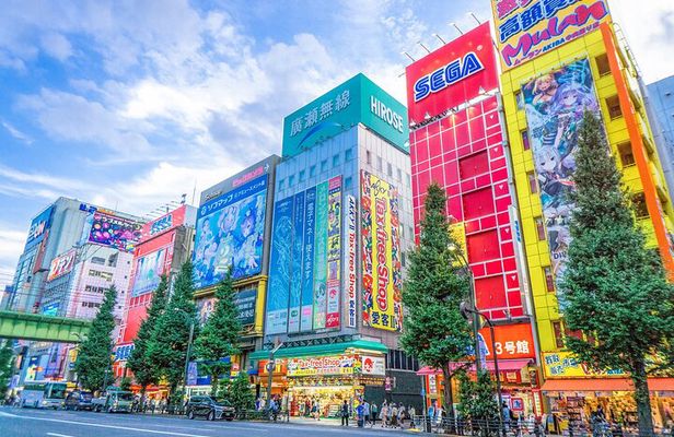 From History to Subculture: Akihabara & Ueno Must-See Tour!