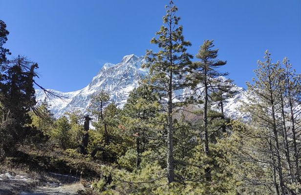 Annapurna Base Camp Trek 10 Days