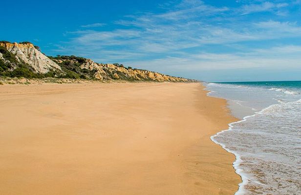 Excursion to the beaches of Huelva from Seville - Private tour