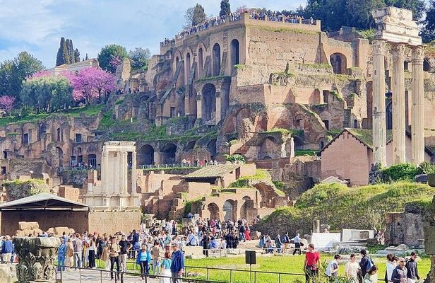 Rome: Guided Tour of the Roman Forum & Palatine Hill