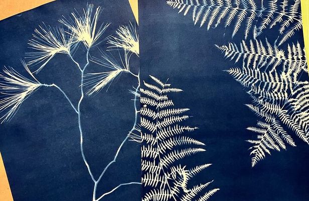 Make Sun Prints in the Desert