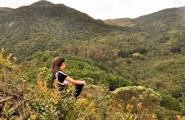 Hike in Bogota's East Hills