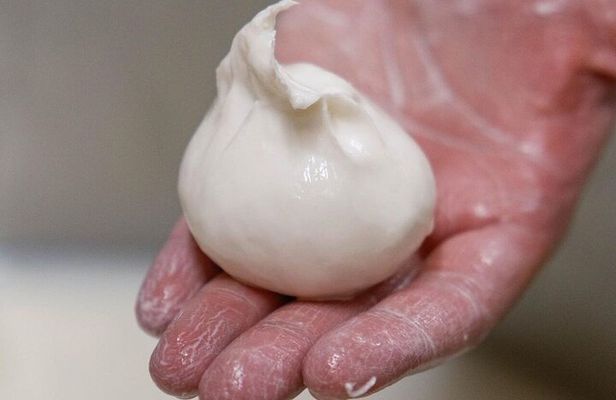 Masseria Seppunisi Tour - Mozzarella and Burrata experience