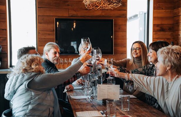 VIP Wine Experience from Queenstown Including Gourmet Lunch.