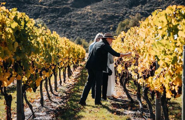 Farm and Wine Experience Half Day in Queenstown, Central Otago.