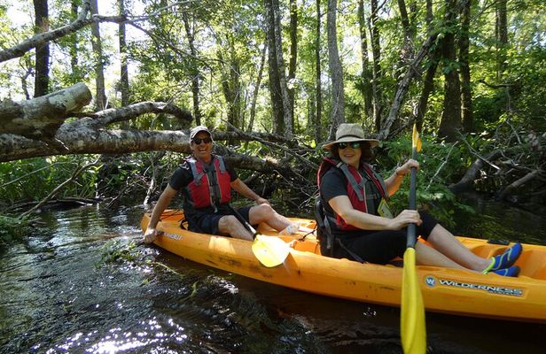 Small Group Blackwater Creek River Kayak Tour