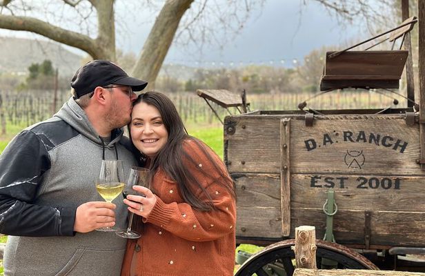 A Multi-Vineyard And Winery Tour