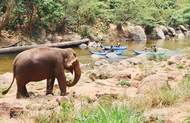 8KM Inflatable Kayaking Adventure