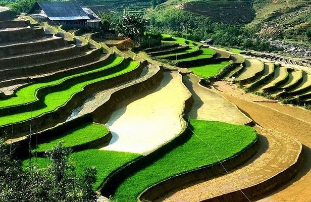 Sa Pa Trekking 2 Days 3 Nights Homestay by Night Train