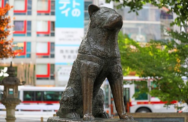 Tokyo Shibuya Crossing & Hidden Streets Walking Tour