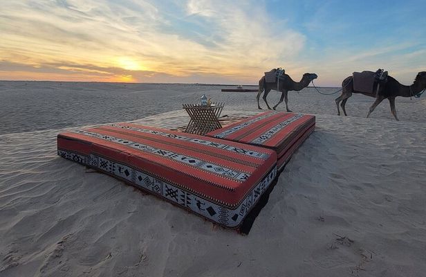 Dromedary Expedition with Night in Camp and Sandboard