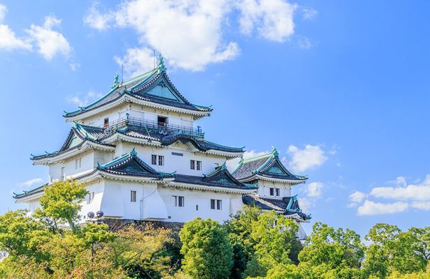 Wakayama Private Customizable Full Day Tour